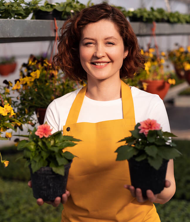 Rylock Farms dairy cattle